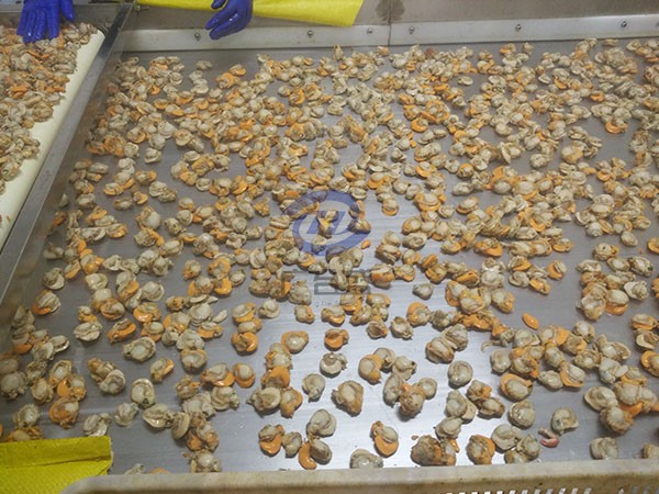 流態(tài)化隧道速凍機